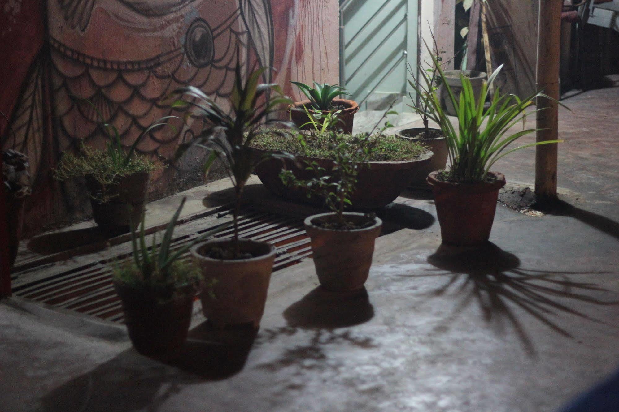 Pyrenees Homestay Agra (Uttar Pradesh) Exterior foto
